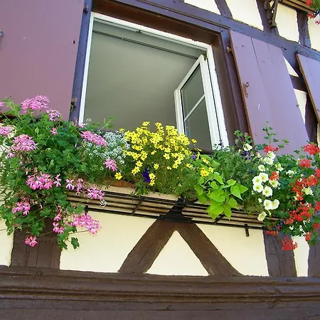 Holiday Rue De La Mairie